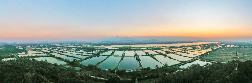 《潼湖濕地（二）》.jpg
